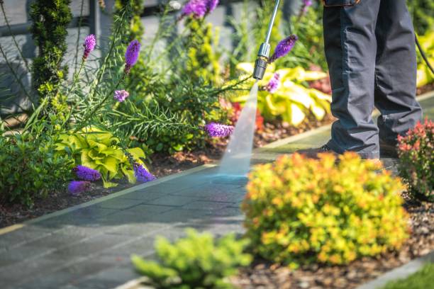 Best Sidewalk and Walkway Cleaning  in Slatington, PA